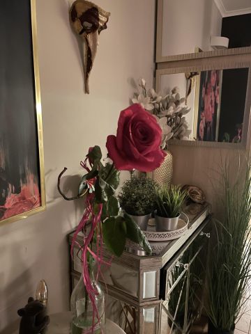 dom wolnostojący, 4 pokoje Huta Żabiowolska, Główna. Zdjęcie 18