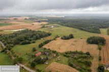 Działka rolno-budowlana Pajtuny. Zdjęcie 3