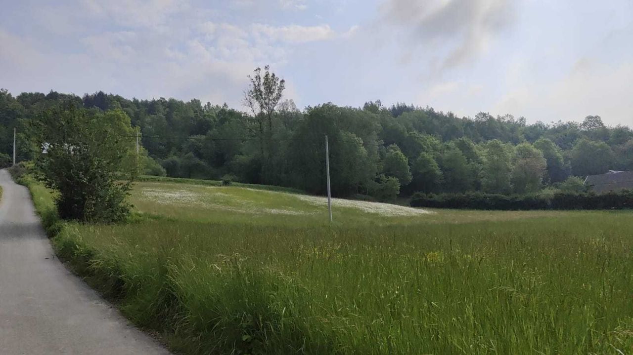 Działka budowlana Przedmieście Dubieckie. Zdjęcie 2