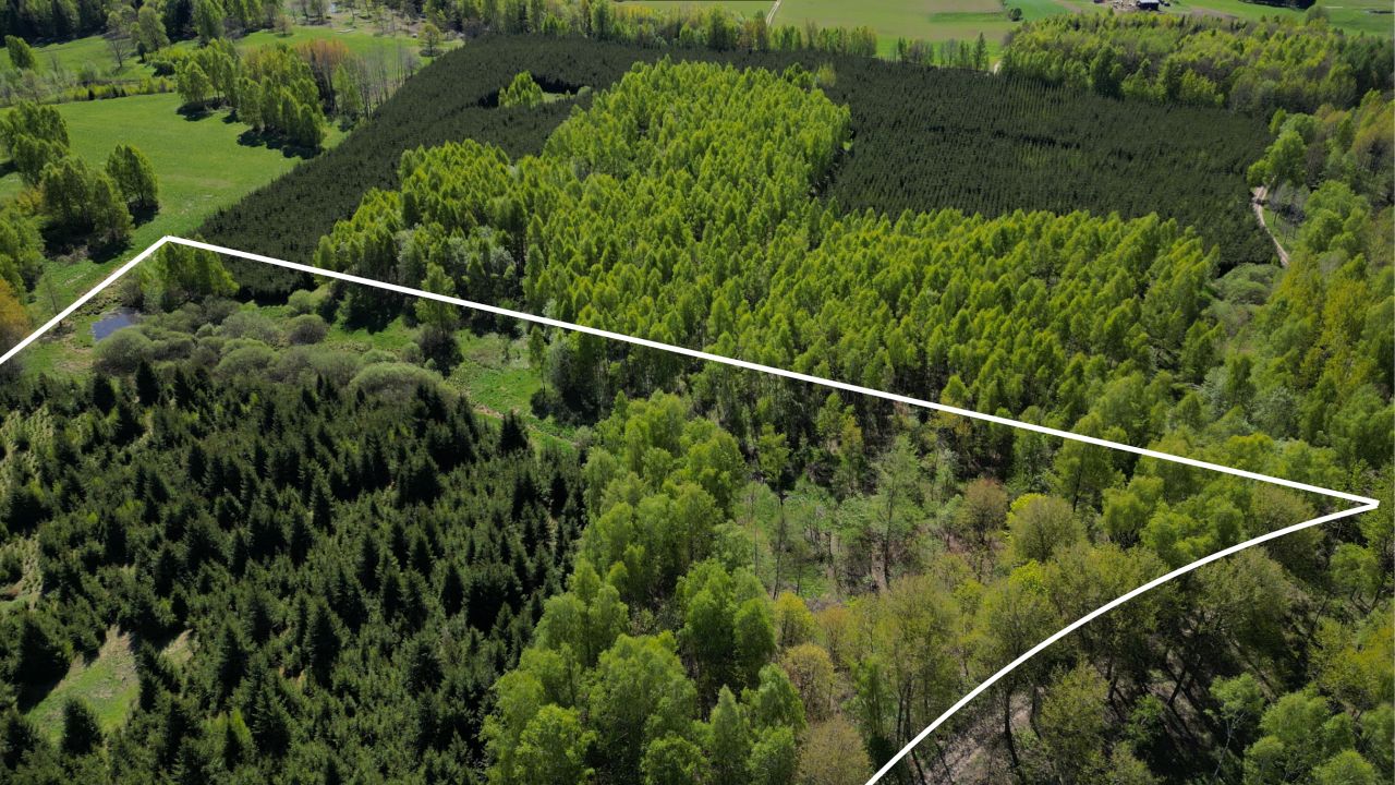 Działka rolna Kabikiejmy. Zdjęcie 4