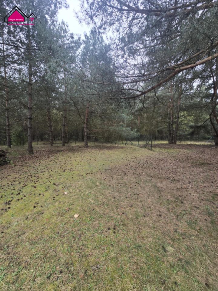 Działka budowlana Ślesin. Zdjęcie 2