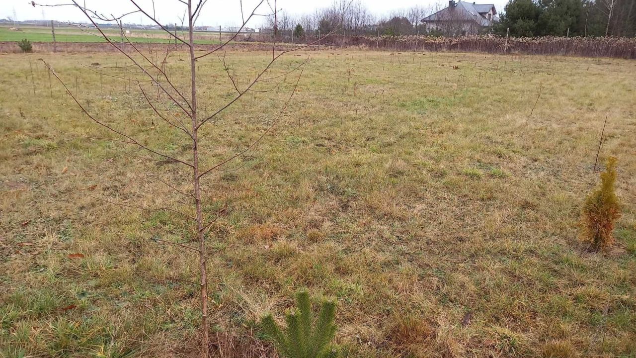 Działka budowlana Serock. Zdjęcie 5