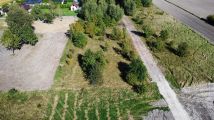 Działka rolno-budowlana Kępa. Zdjęcie 4