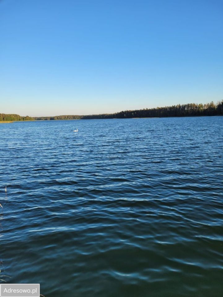 Działka budowlana Walne. Zdjęcie 12