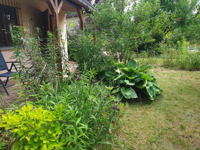 Działka rod Poznań Krzesiny, ul. Jarosławska. Zdjęcie 1