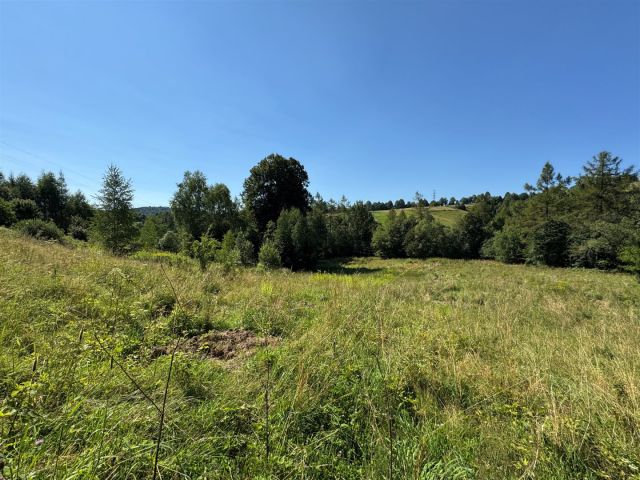 Działka budowlana Złockie. Zdjęcie 4