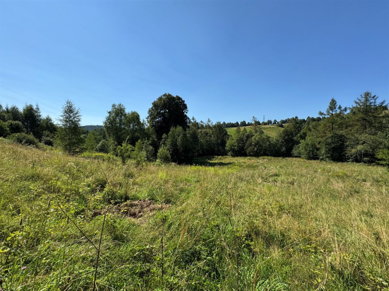 Działka budowlana Złockie. Zdjęcie 4