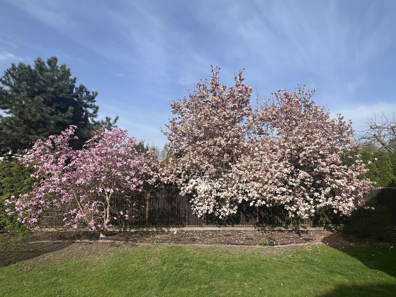 dom wolnostojący, 5 pokoi Koczargi Stare. Zdjęcie 27