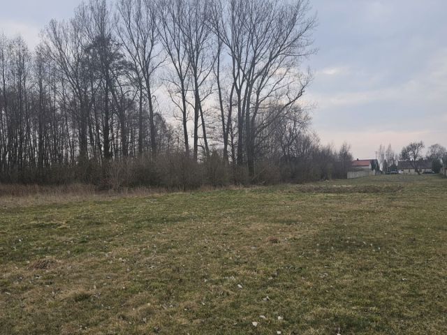 Działka rolno-budowlana Sanie. Zdjęcie 5