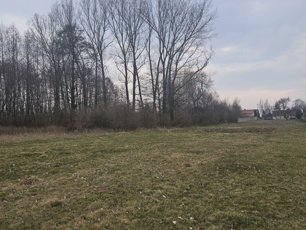 Działka rolno-budowlana Sanie. Zdjęcie 5