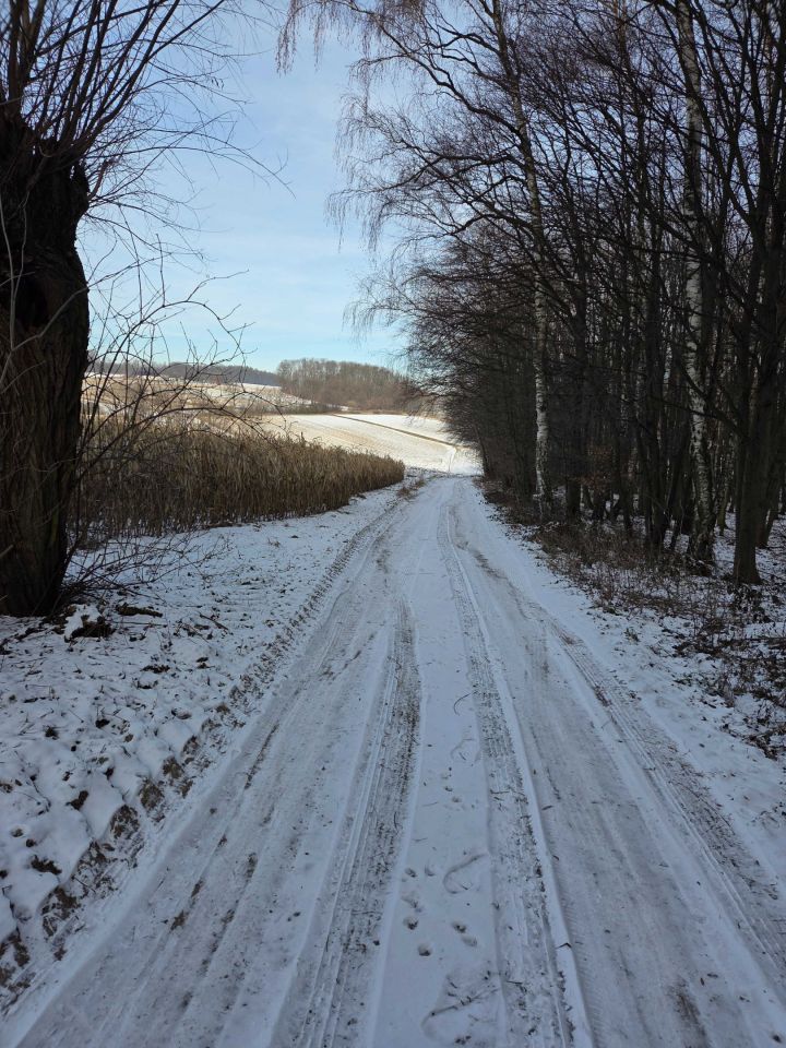 Działka rolno-budowlana Rawałowice. Zdjęcie 2