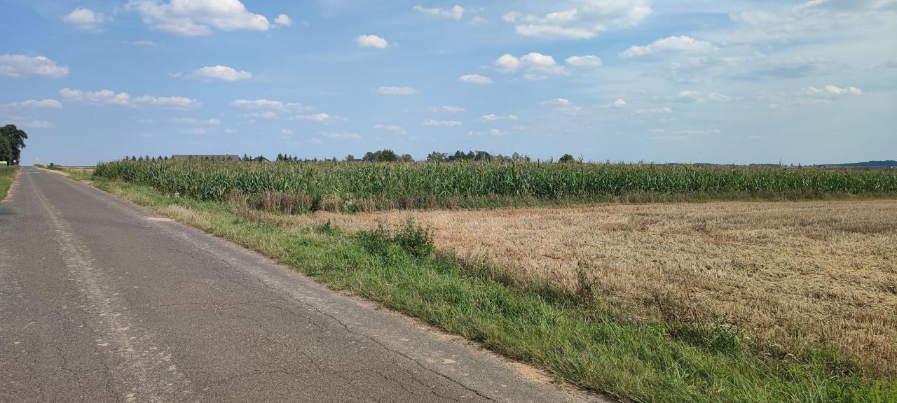 Działka rolno-budowlana Kołacinek. Zdjęcie 6