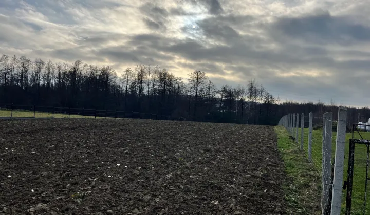 Działka rolno-budowlana Nowodworze Granica