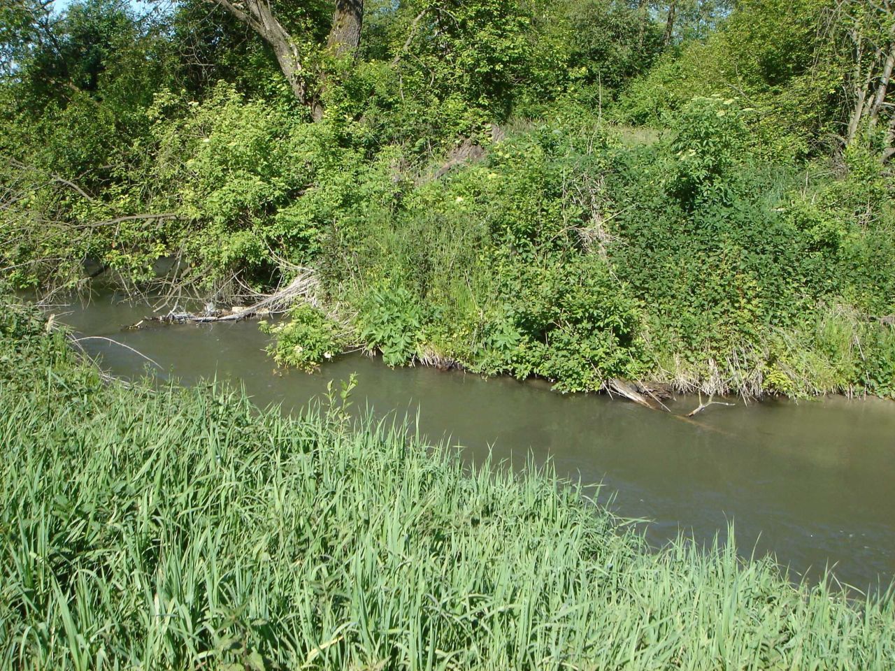 Działka budowlana Żabia Wola. Zdjęcie 3