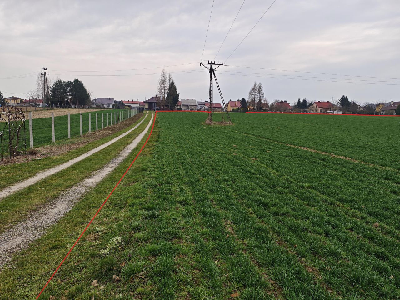 Działka rolno-budowlana Trzciana. Zdjęcie 5