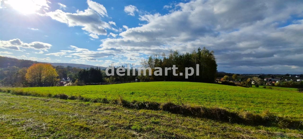 Działka budowlana Srogów Dolny. Zdjęcie 6