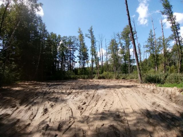 Działka leśna Bobrowa. Zdjęcie 1
