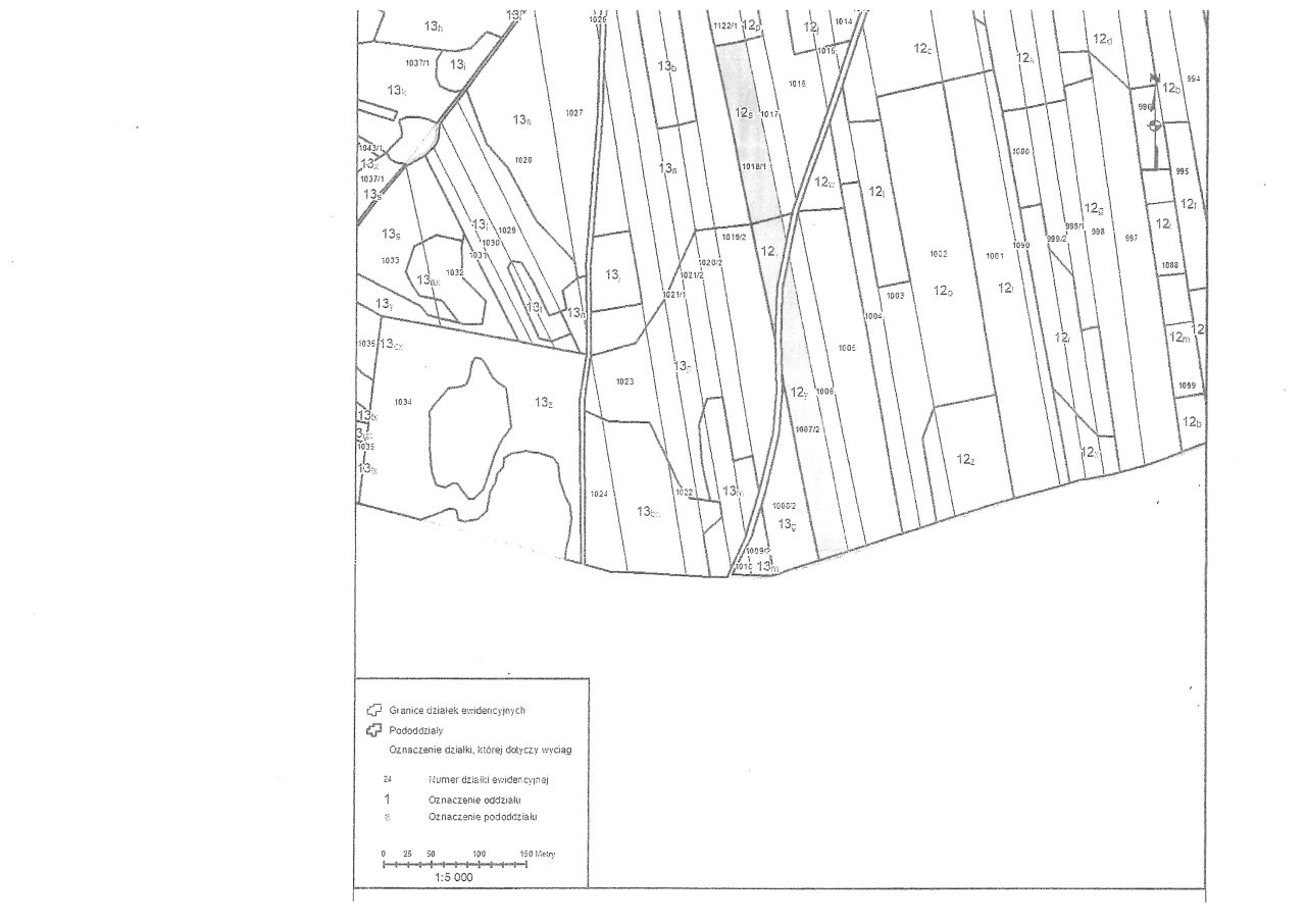 Działka leśna Huta Drewniana Wymysłów. Zdjęcie 7