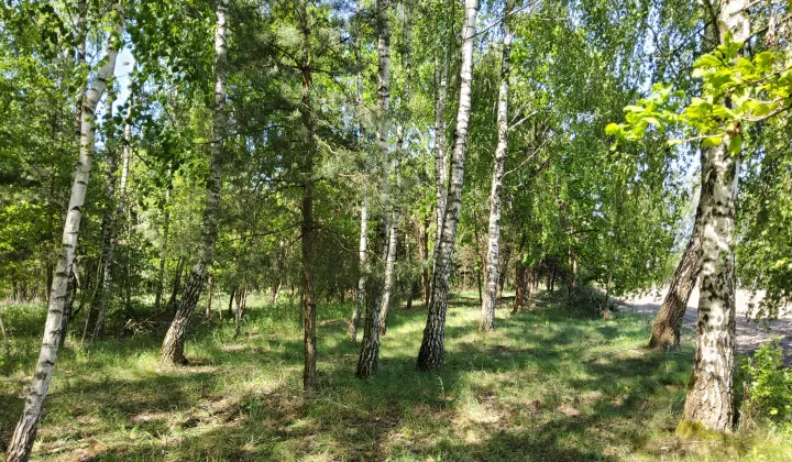 Działka budowlana Pawłowice