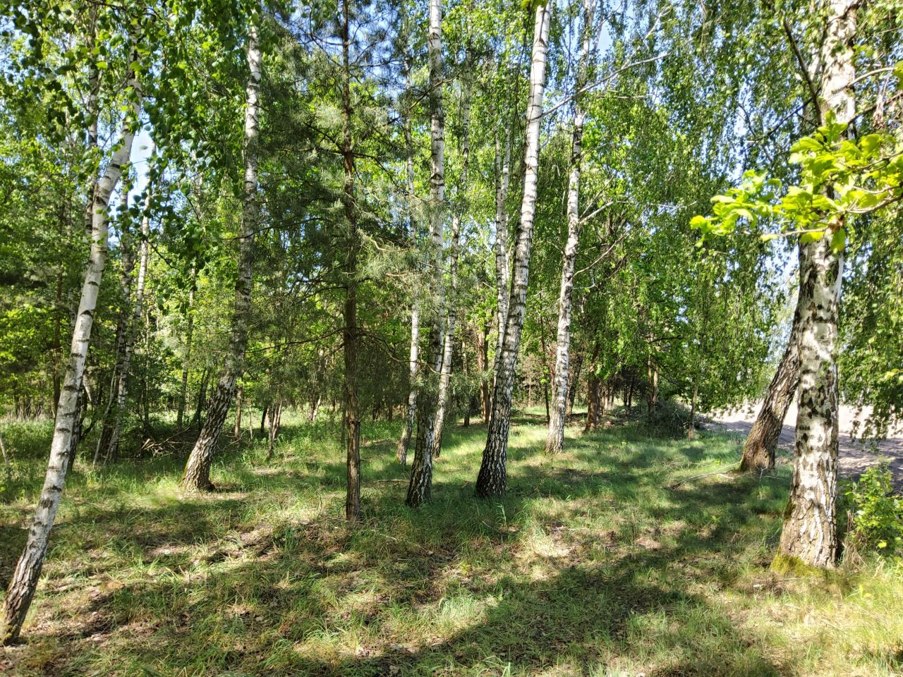 Działka budowlana Pawłowice. Zdjęcie 1