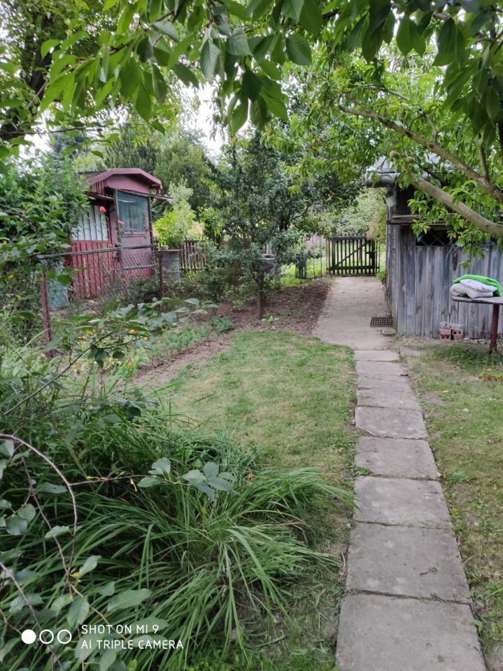 Działka rod Wola Mielecka. Zdjęcie 7