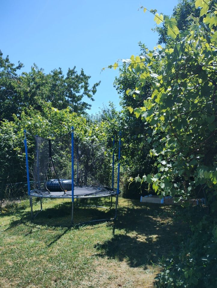 Działka rod Żary. Zdjęcie 6