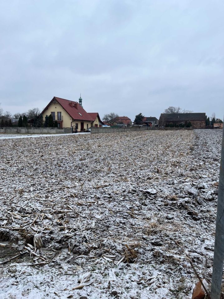 Działka budowlana Brzezia Łąka, ul. Poprzeczna. Zdjęcie 4