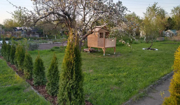 Działka rod Wrocław Stare Miasto