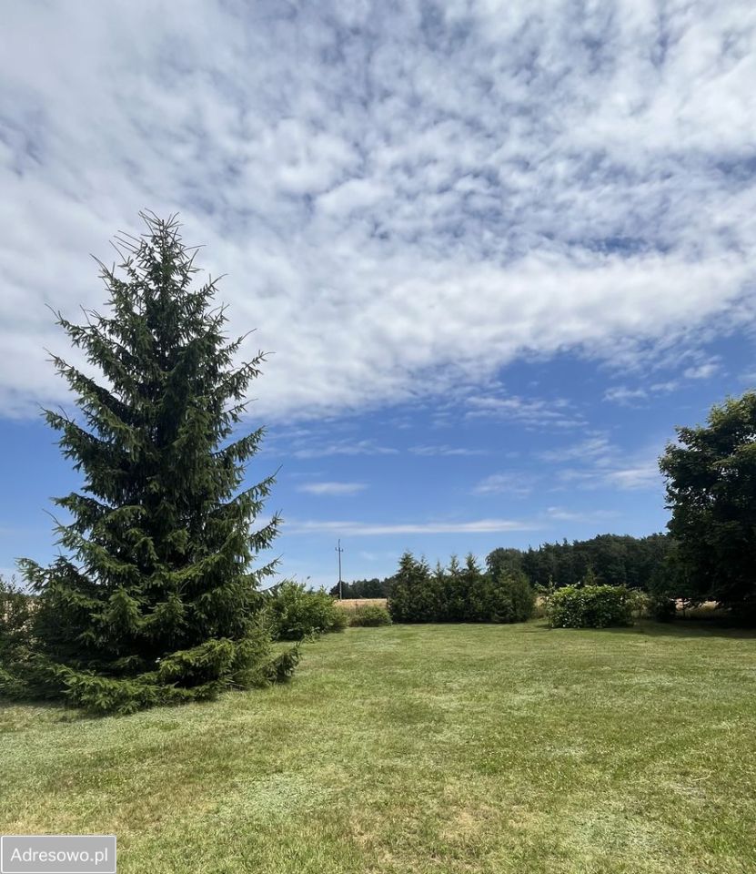 dom wolnostojący, 4 pokoje Kępa Borzechowska. Zdjęcie 17