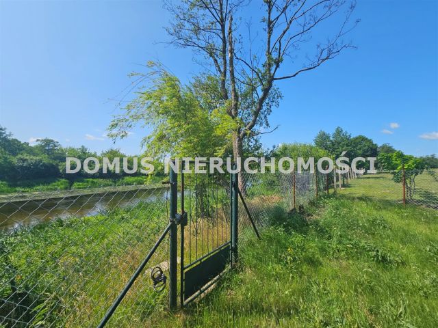 Działka rolna Królewo. Zdjęcie 10