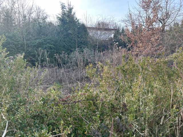 Działka rod Szczecin Centrum, ul. Fryderyka Chopina. Zdjęcie 1