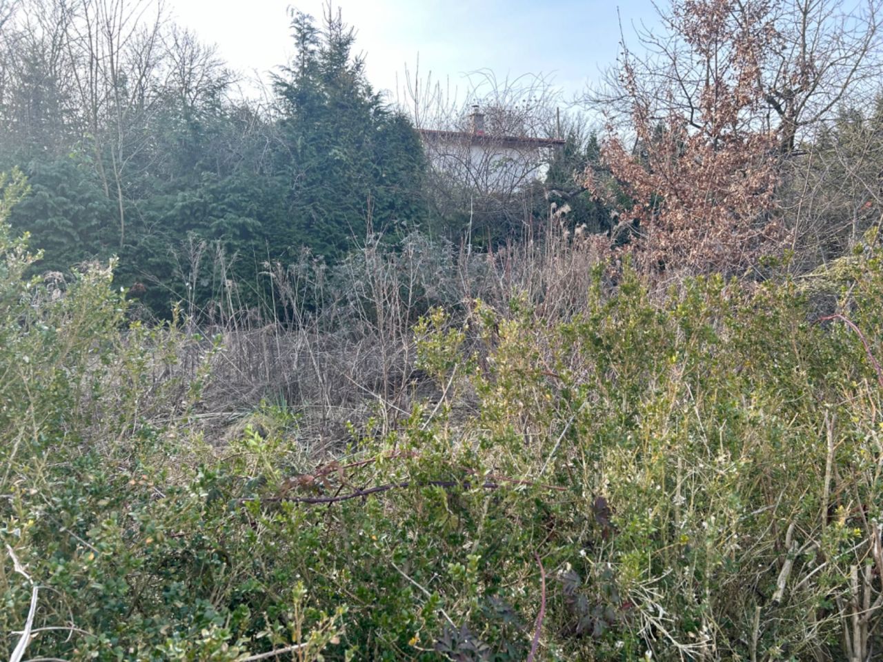 Działka rod Szczecin Centrum, ul. Fryderyka Chopina