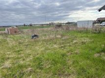 dom wolnostojący Pakosław, ul. Ogrodowa. Zdjęcie 1