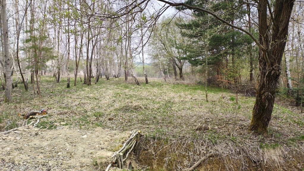 Działka budowlana Hucisko Nienadowskie. Zdjęcie 5