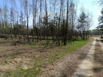 Działka budowlana Koziegłowy Rosochacz, ul. Zacisze. Zdjęcie 3