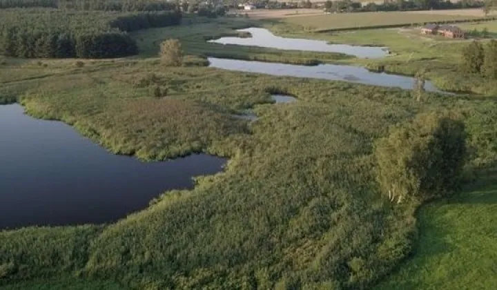Działka budowlana Pawłowice, ul. Pawłowicka