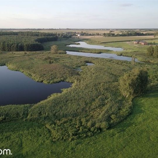 Działka siedliskowa Pawłowice, ul. Pawłowicka. Zdjęcie 8
