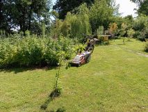 Działka rod Wieluń, ul. Elizy Orzeszkowej. Zdjęcie 3