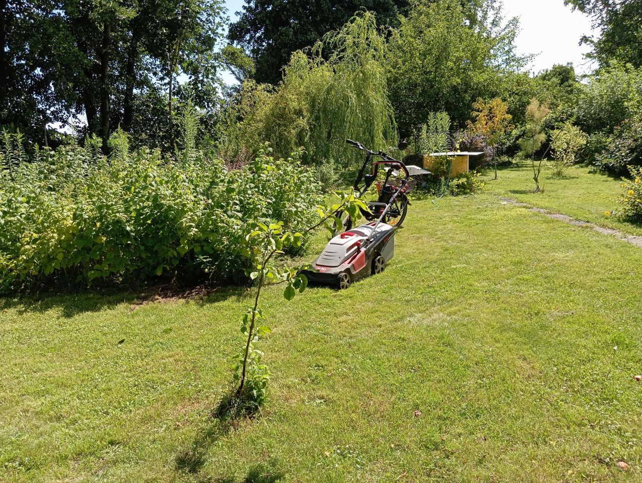 Działka rod Wieluń, ul. Elizy Orzeszkowej. Zdjęcie 4