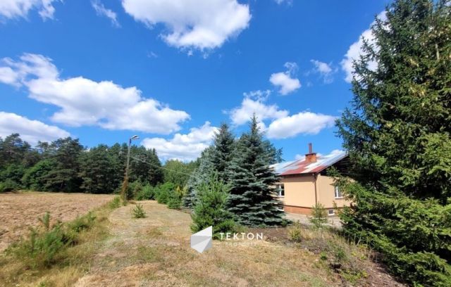 Działka rolna Zagóźdź. Zdjęcie 5