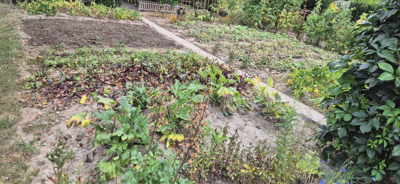 Działka rod Elizówka. Zdjęcie 6