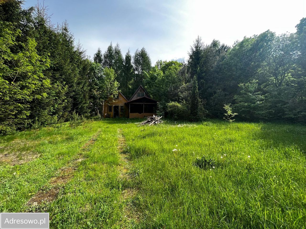 Działka rolno-budowlana Huta Jeżewska. Zdjęcie 5