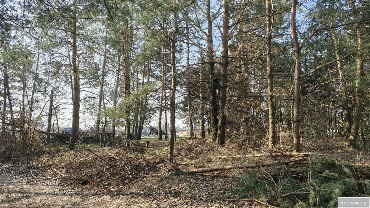 Działka siedliskowa Pogórska Wola. Zdjęcie 2