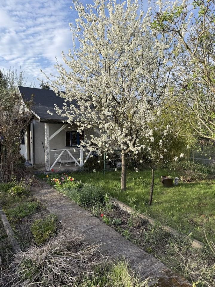 Działka rod Wrocław Fabryczna, ul. Klecińska. Zdjęcie 8