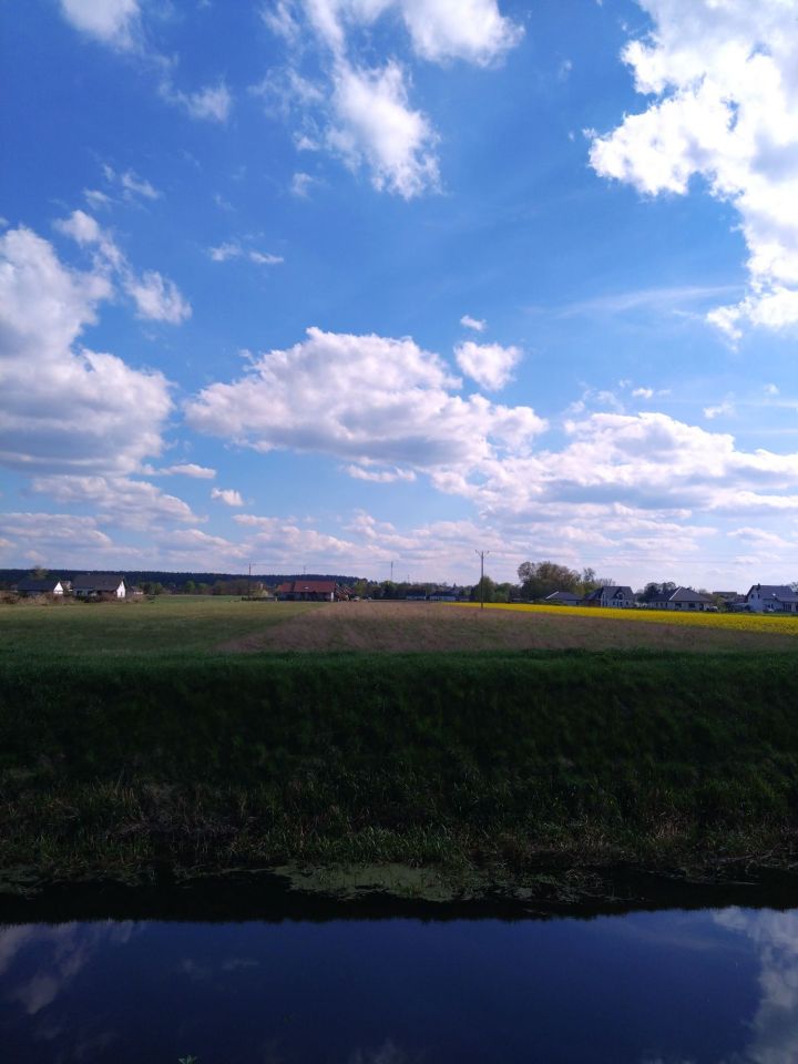 Działka budowlana Krzeszyce, ul. Wolności. Zdjęcie 3