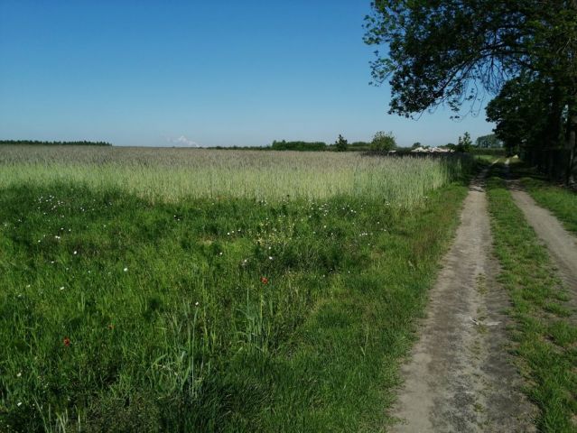 Działka rolna Straszów. Zdjęcie 1