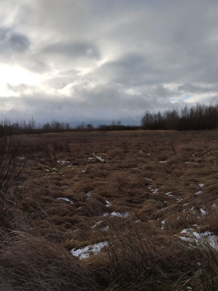 Działka rolno-budowlana Mostkowo. Zdjęcie 5