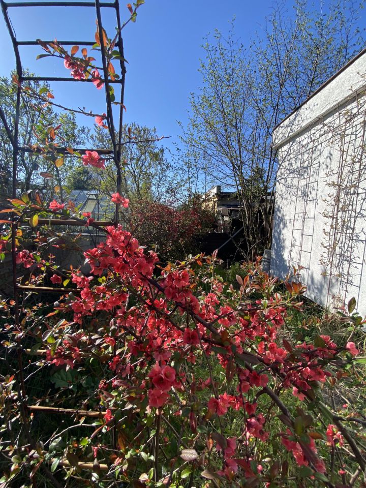 Działka rod Łódź Bałuty, ul. Hodowlana. Zdjęcie 3