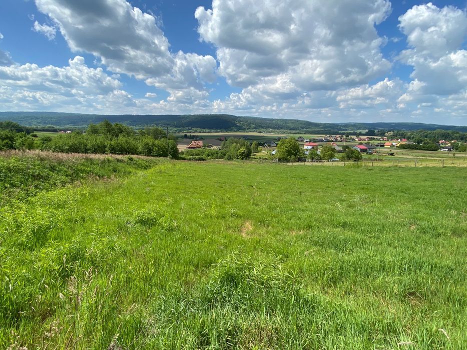 Działka rolno-budowlana Nienadowa. Zdjęcie 4