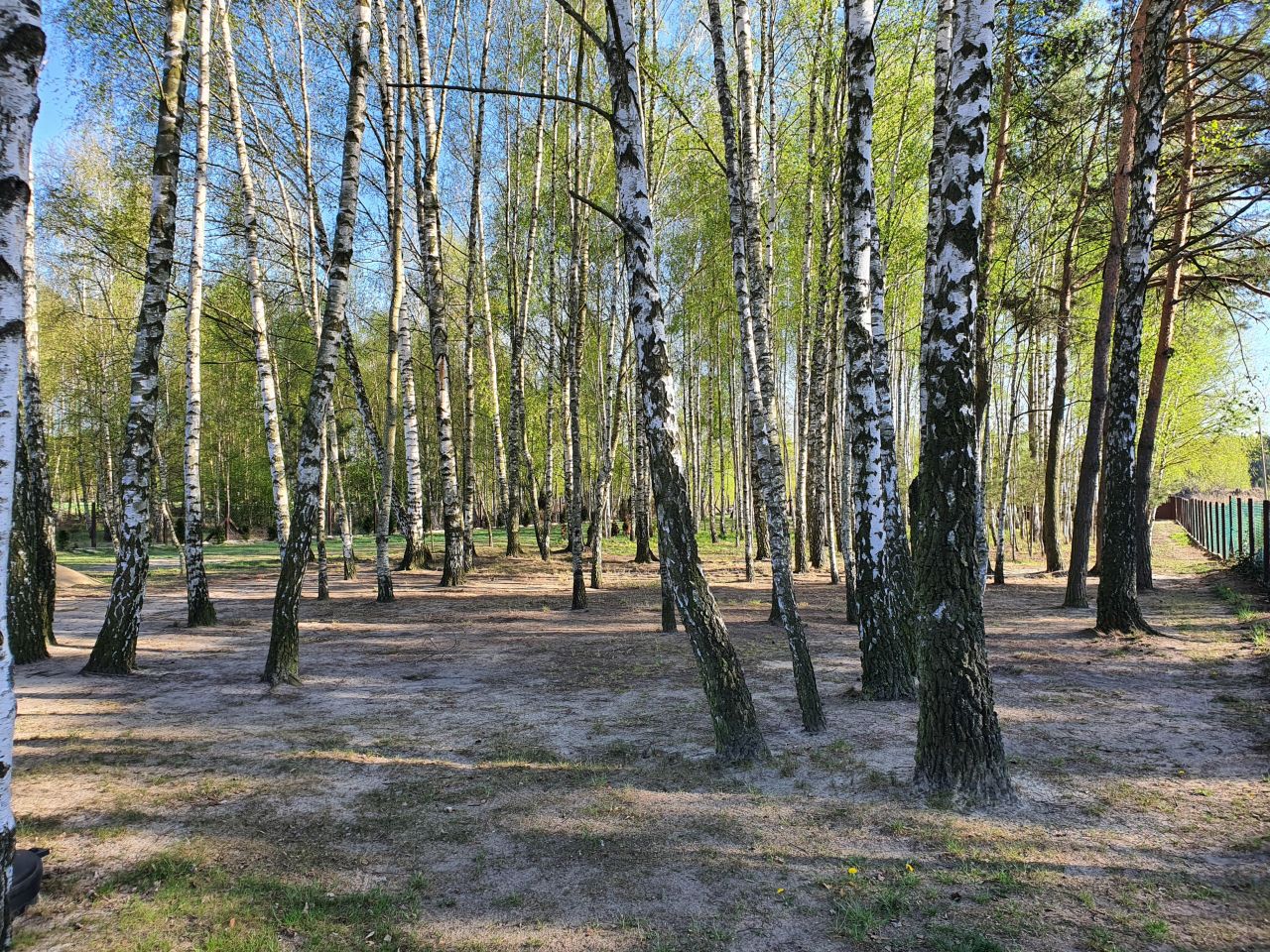 Nieruchomość komercyjna Jedlanka Kępiny. Zdjęcie 5